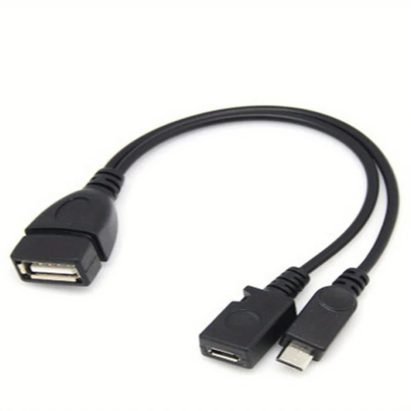 2-in-1 OTG USB to Micro USB Sp - Fire Tablet Accessories review and price